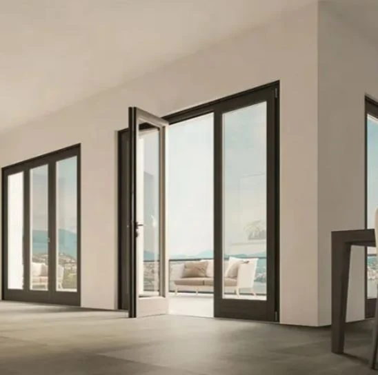 Black Hinged Glass Door